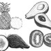 Watercolor Fruit Clipart. Food Hand Painted Cliaprt. Fruits Clip Art ...