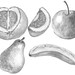 Watercolor Fruit Clipart. Food Hand Painted Cliaprt. Fruits Clip Art ...