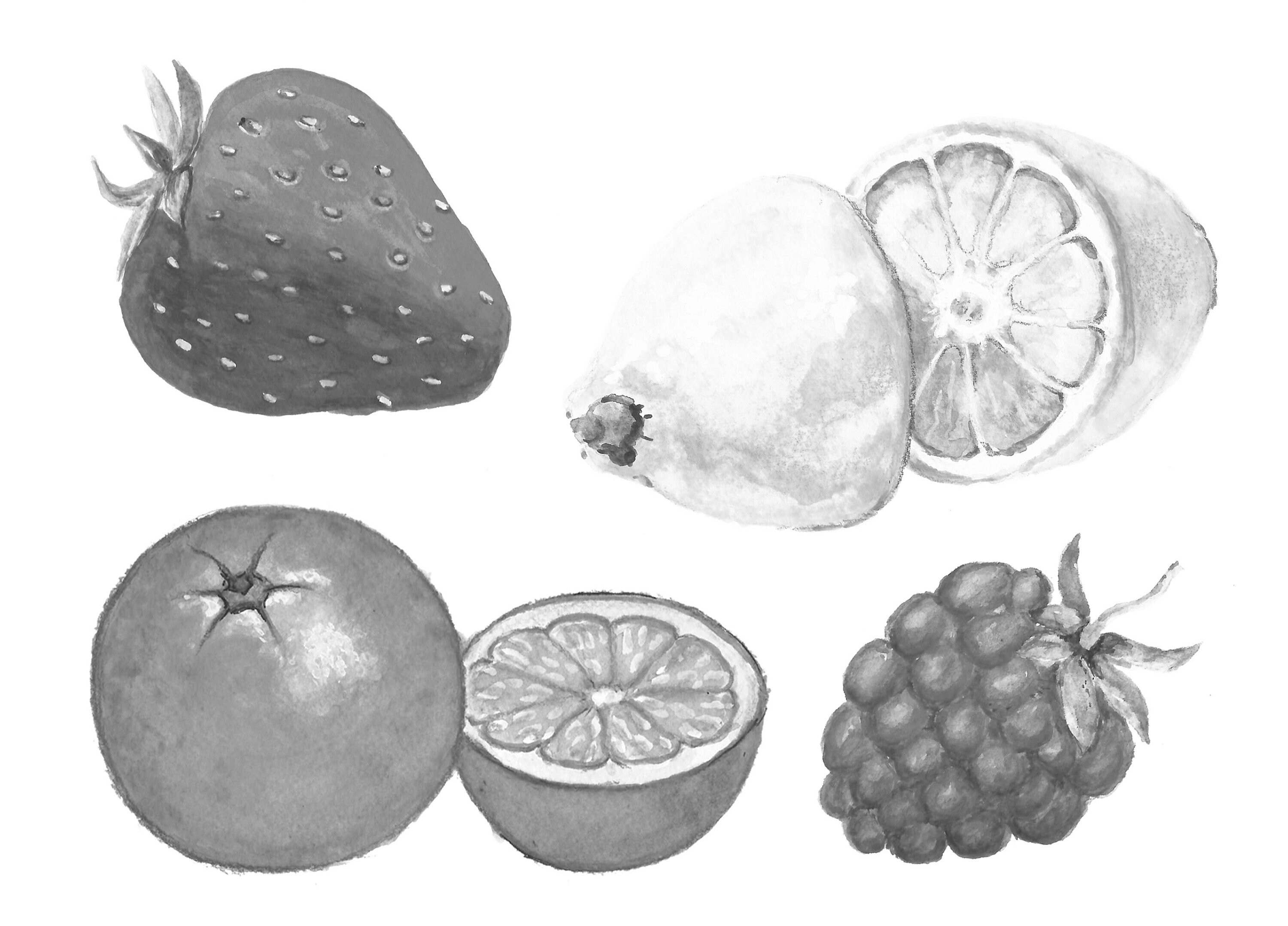 Watercolor Fruit Clipart. Food Hand Painted Cliaprt. Fruits Clip Art ...
