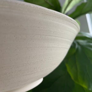 May include: Close-up of a white ceramic bowl with a textured, ridged surface. The bowl has a rounded shape and a wide opening. The background features green leaves, suggesting a natural setting.