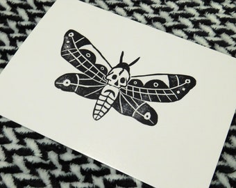 5x7" Death's Head Moth Print