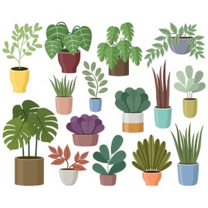 May include: A collection of 15 potted plants in various styles and colours, including green, purple, and brown. The plants are in different types of pots, including ceramic, plastic, and metal.
