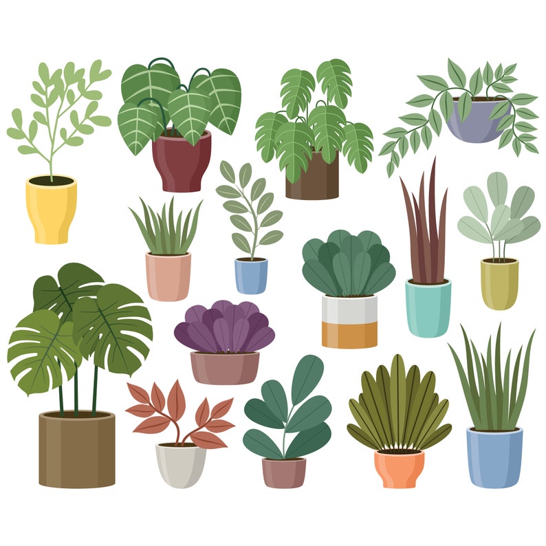 May include: A collection of 15 potted plants in various styles and colours, including green, purple, and brown. The plants are in different types of pots, including ceramic, plastic, and metal.