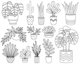 Home plants single clipart. Home plants graphic. Digital images, instant download.