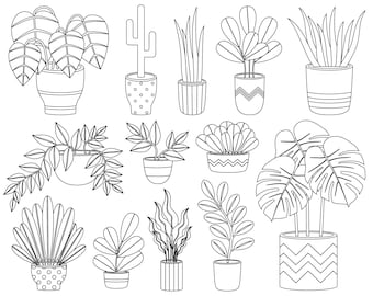 Home plants single clipart. Home plants graphic. Digital images, instant download.