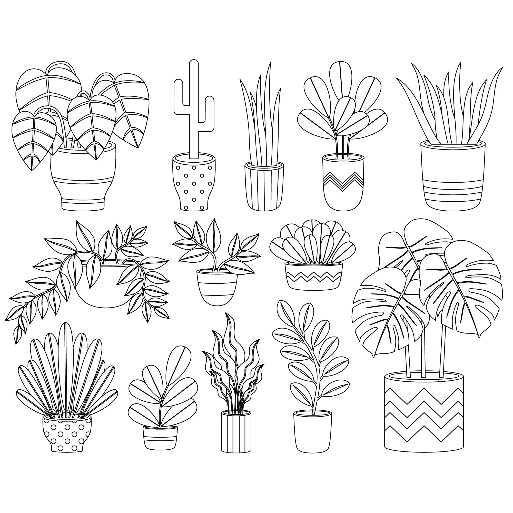 Home plants single clipart. Home plants graphic. Digital images, instant download.