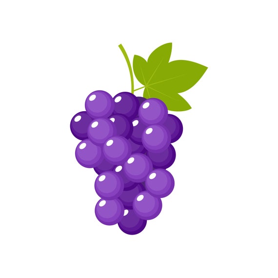 Grapes Single Clipart. Grapes Graphic. Digital Images Instant - Etsy UK