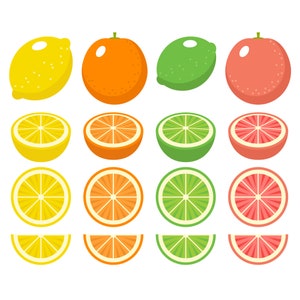 Citrus сlipart. Lemon, lime, orange, grapefruit. Citrus slices. Vector citrus graphic. Digital images, instant download.