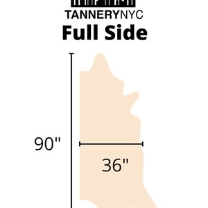 May include: Diagram of a full side of leather, measuring 36 inches wide and 90 inches long. The leather is a light beige color.