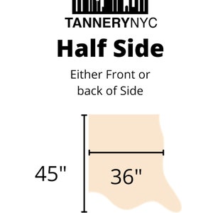 May include: Diagram showing the dimensions of a half side of leather. The leather is a light beige color. The dimensions are 45 inches by 36 inches. The text "Tannerynnyc Half Side Either Front or back of Side" is at the top of the image.