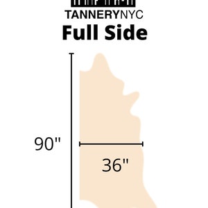 May include: Diagram of a full side of leather, measuring 36 inches wide and 90 inches long. The leather is a light beige color.
