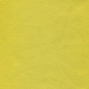 May include: A close-up of a textured, yellow leather surface.