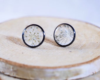 Queen Annes Lace Stud earrings, Black and white flower earrings, bridal jewelry, real flowers jewelry