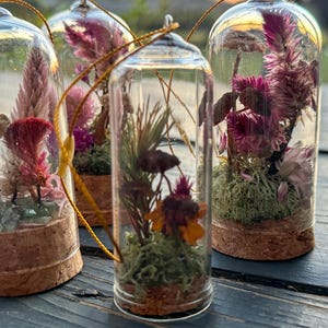 Woodland Mushroom Terrarium Ornament, Dried Flowers (3.35 inches)