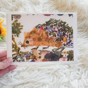 Cartão de felicitações com estampa de ouriço de flor prensada, ouriço de flor prensada, cartão de ouriço, cartão de felicitações caprichoso em branco