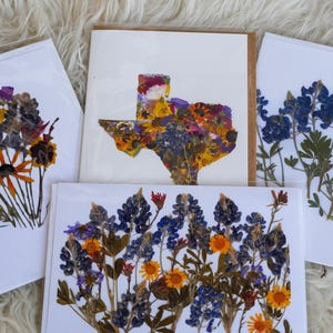 "gepresste texas Wildblumen Grußkarten, ""Bluebonnet"" Kunst, ""Texas Native"" Blumen, Kartenset."