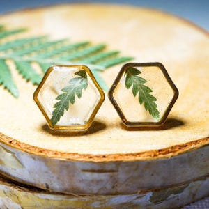 Real fern stud earrings, pressed fern studs, terrarium jewelry, garden gift earrings, hexagon studs