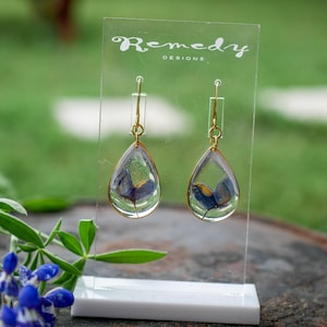 Pressed Texas bluebonnet earrings, Texas pride dangles, real wildflower earrings