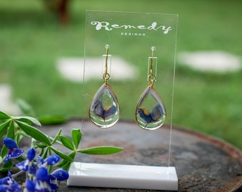 Pressed Texas bluebonnet earrings, Texas pride dangles, real wildflower earrings