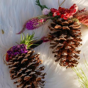 Dried flower pinecone ornament, rustic christmas decor