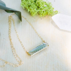 May include: A gold chain necklace with a rectangular pendant featuring a pressed fern inside. The pendant is clear and the fern is green.
