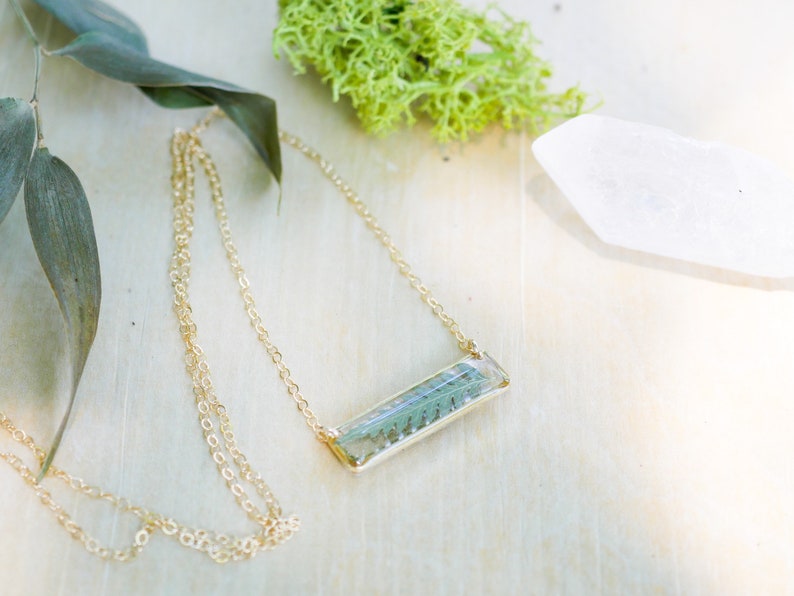 May include: A gold chain necklace with a rectangular pendant featuring a pressed fern inside. The pendant is clear and the fern is green.