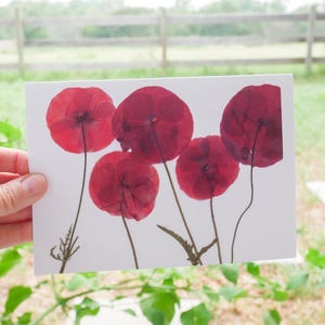 Tarjeta de felicitación con amapolas prensadas: impresión botánica de 5 x 7, tarjeta con flores hecha a mano, tarjeta en blanco con sobre, impresión artística enmarcable