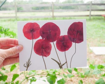Pressed Poppy Greeting Card – 5x7 Botanical Print | Handmade Flower Card | Blank Card with Envelope | Frameable Art Print