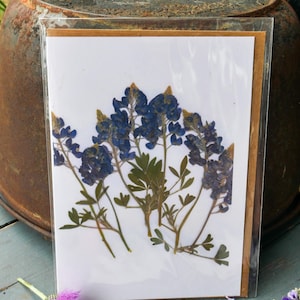 "Gepresste ""Texas Bluebonnet"" Grußkarte - druckbar, innen leer, Blumen gewachsen auf unserer Farm in Texas."