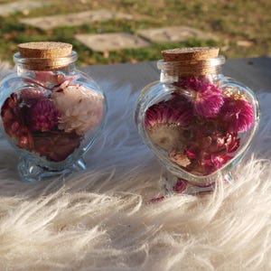 Peut inclure: Deux vases en verre en forme de cœur remplis de fleurs séchées. Les vases ont une base transparente et un bouchon en liège. Les fleurs sont un mélange de rose, de blanc et de bordeaux. Les vases sont sur une surface blanche et duveteuse.