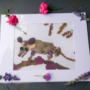 Stampa o biglietto di auguri con fiori pressati di opossum – Arte ispirata alla natura / Regalo carino e stravagante di opossum / Stampa botanica della fauna selvatica
