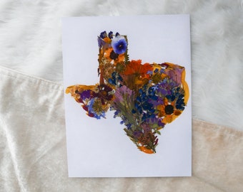 Pressed flower Texas art, real flower art PRINT, Texas wall art