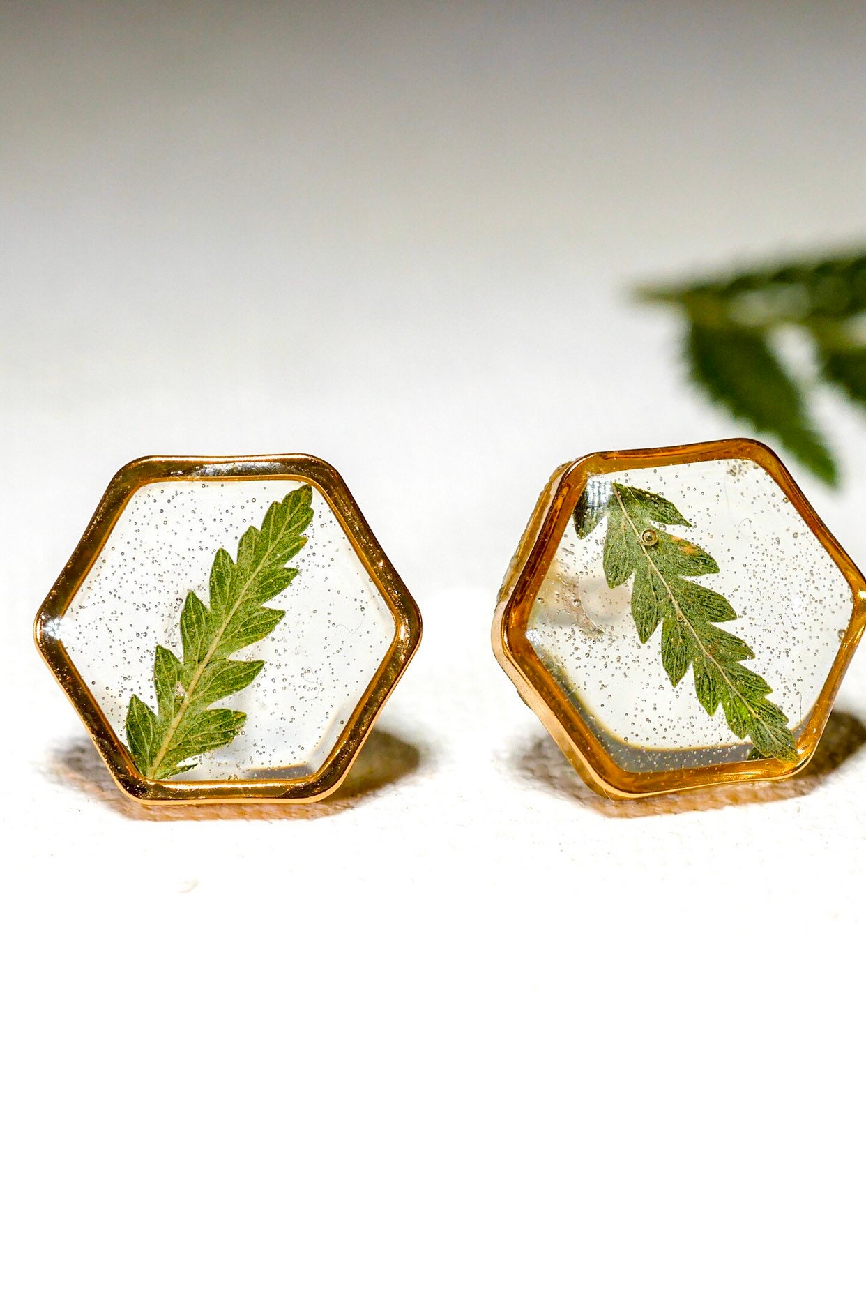 Real Fern Stud earrings Pressed fern studs Terrarium | Etsy