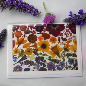 Cartão de felicitações com flores prensadas em arco-íris – impressão emoldurável 5x7