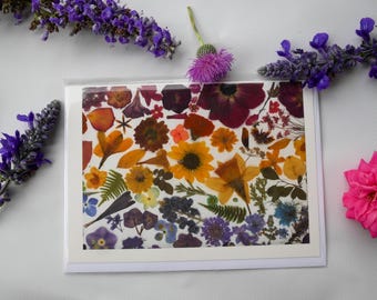 Carte de voeux fleurs pressées arc-en-ciel – Impression encadrée 5 x 7