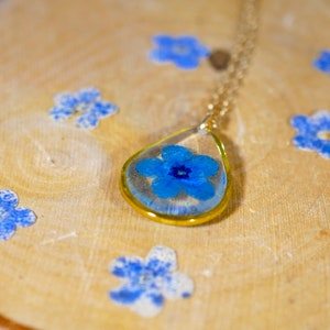 Forget me not teardrop necklace, dainty botanical jewelry, Memorial jewelry, Something blue brides charm, Real flower terrarium image 10