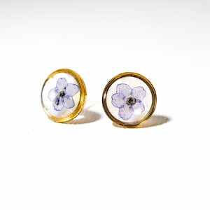Tiny Forget me not Flower Stud Earrings, Real Flower Jewelry, Forget me not earrings, Pressed flower jewelry, Memorial Jewelry, Circle studs