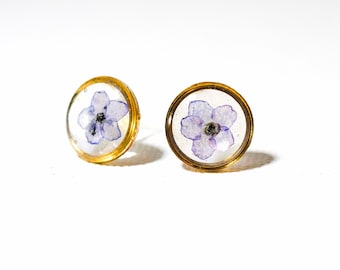 Vergissmeinnicht Blume Ohrstecker, echte gepresste Blumen (10 mm Kreis)