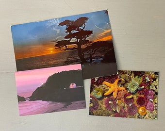 Ocean Views at Sunset Postcards LOT of 3  Purple + Orange Vintage Nature Souvenir Cards