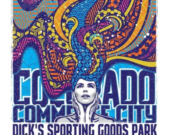 Phish Dick's Colorado 2016 poster