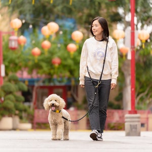 Black Hands-Free Rope Leash