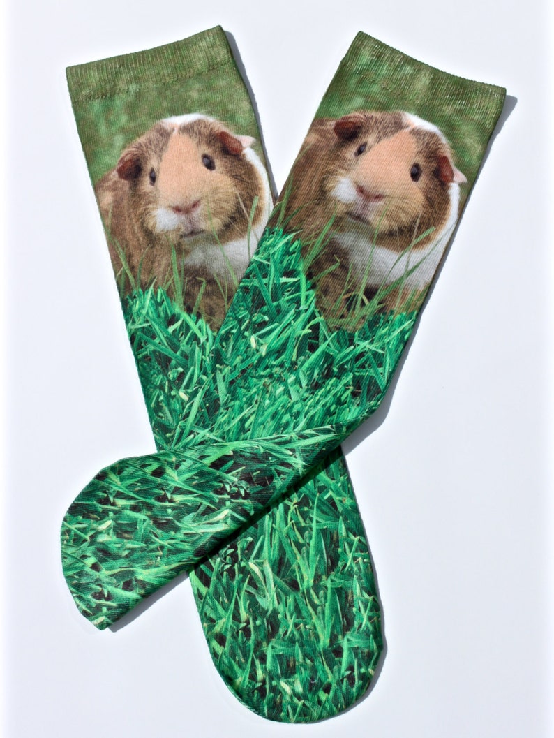 Guinea Pig Grass Socks Unique Animal Novelty Sock Fun Cool Etsy