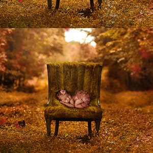 Mossy Chair Forest Digital Background Newborn Composite Etsy