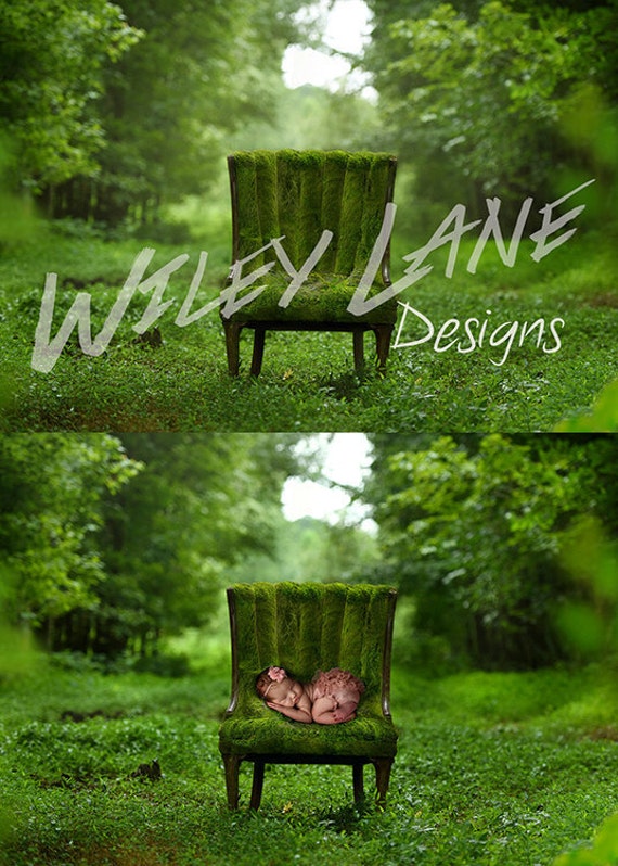 Mossy Chair Forest Digital Background Newborn Composite - Etsy New Zealand