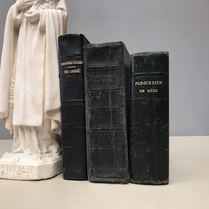 May include: Three antique, dark green books with gold lettering. The books are standing upright, with the spines facing the viewer. The titles are in French. A white statue is partially visible in the background.