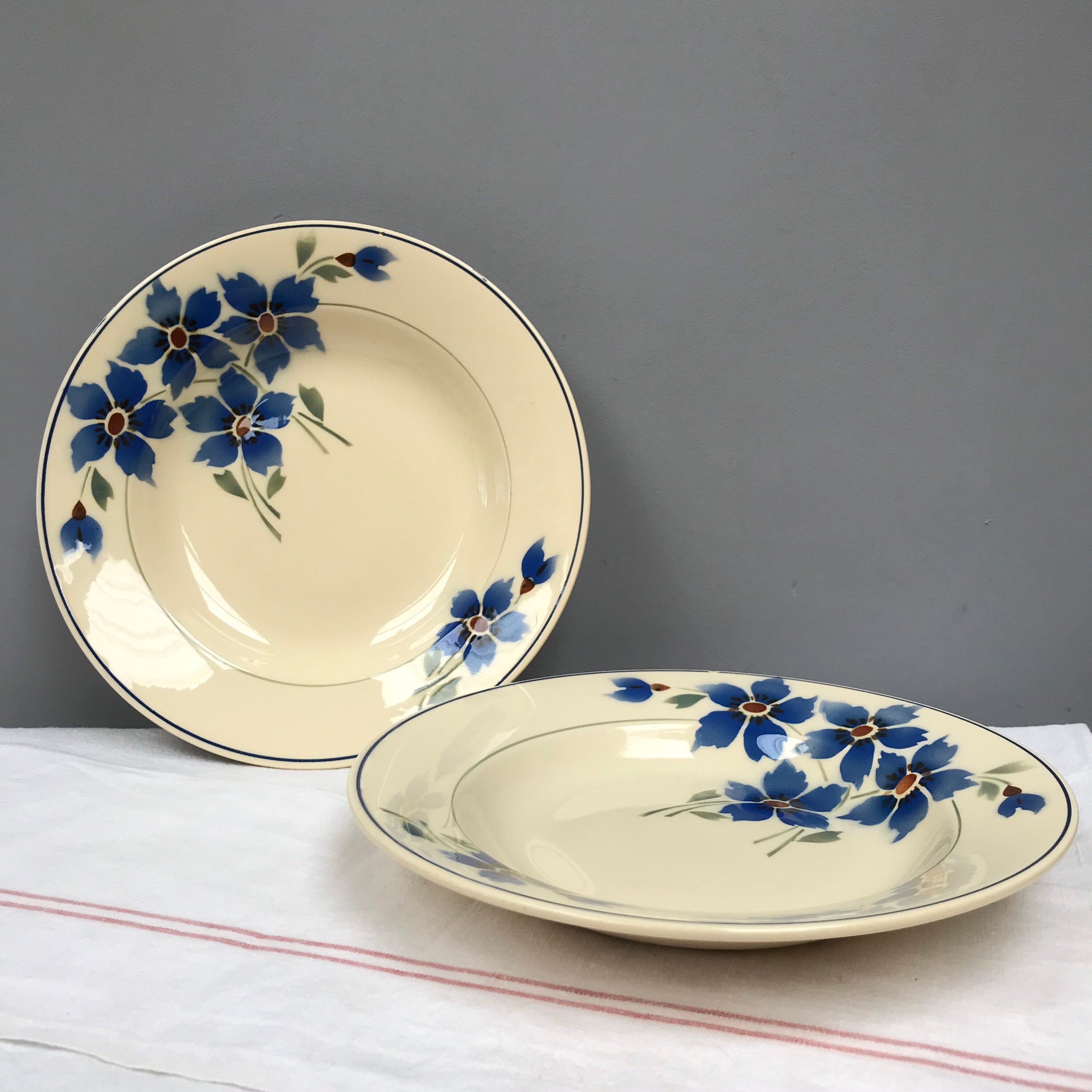 Ensemble de 2 Bols Français Moulin Des Loups Bols Peu Profonds Rose Design Crème Bleue