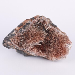 May include: A natural mineral specimen featuring a dark, rough base with clusters of radiating, light brown crystal formations. The crystals have a spiky, starburst appearance, creating a textured surface. The overall color palette is earthy, with shades of brown and tan.