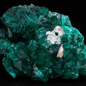 Dioptase Cluster, Tantara Mine, Congo