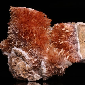 May include: A cluster of orange and white crystals on a rock. The crystals are long and thin, and they are arranged in a random pattern. The rock is brown and gray.