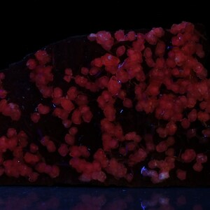 May include: A close-up of a dark red rock with small, bright red crystals scattered across the surface.